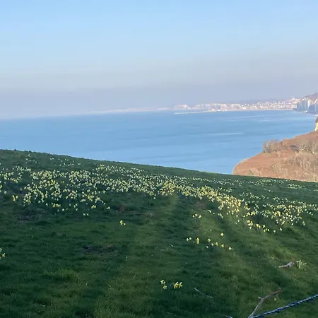 Maison De Marguerite