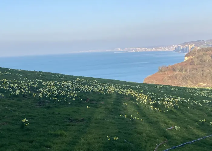 Maison De Marguerite